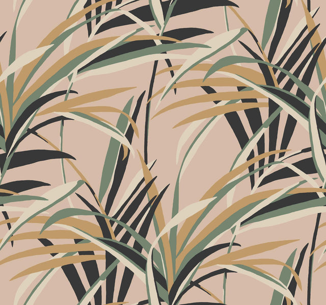 York Tropical Paradise Blush Wallpaper