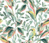 York Tropical Love Birds White/Coral Wallpaper