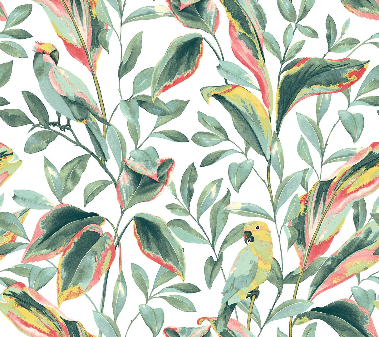 York Tropical Love Birds White/Coral Wallpaper