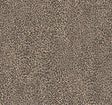 York Leopard King Brown Wallpaper