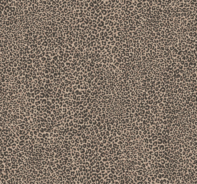 York Leopard King Brown Wallpaper
