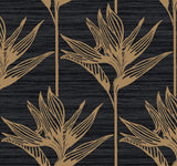 York Bird Of Paradise Black/Gold Wallpaper