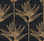 York Bird Of Paradise Black/Gold Wallpaper