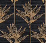 York Bird Of Paradise Black/Gold Wallpaper