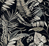York Tropical Toss Black Wallpaper