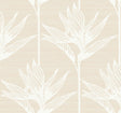 York Bird Of Paradise White Wallpaper