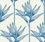 York Bird Of Paradise Blue Wallpaper
