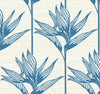 York Bird Of Paradise Blue Wallpaper