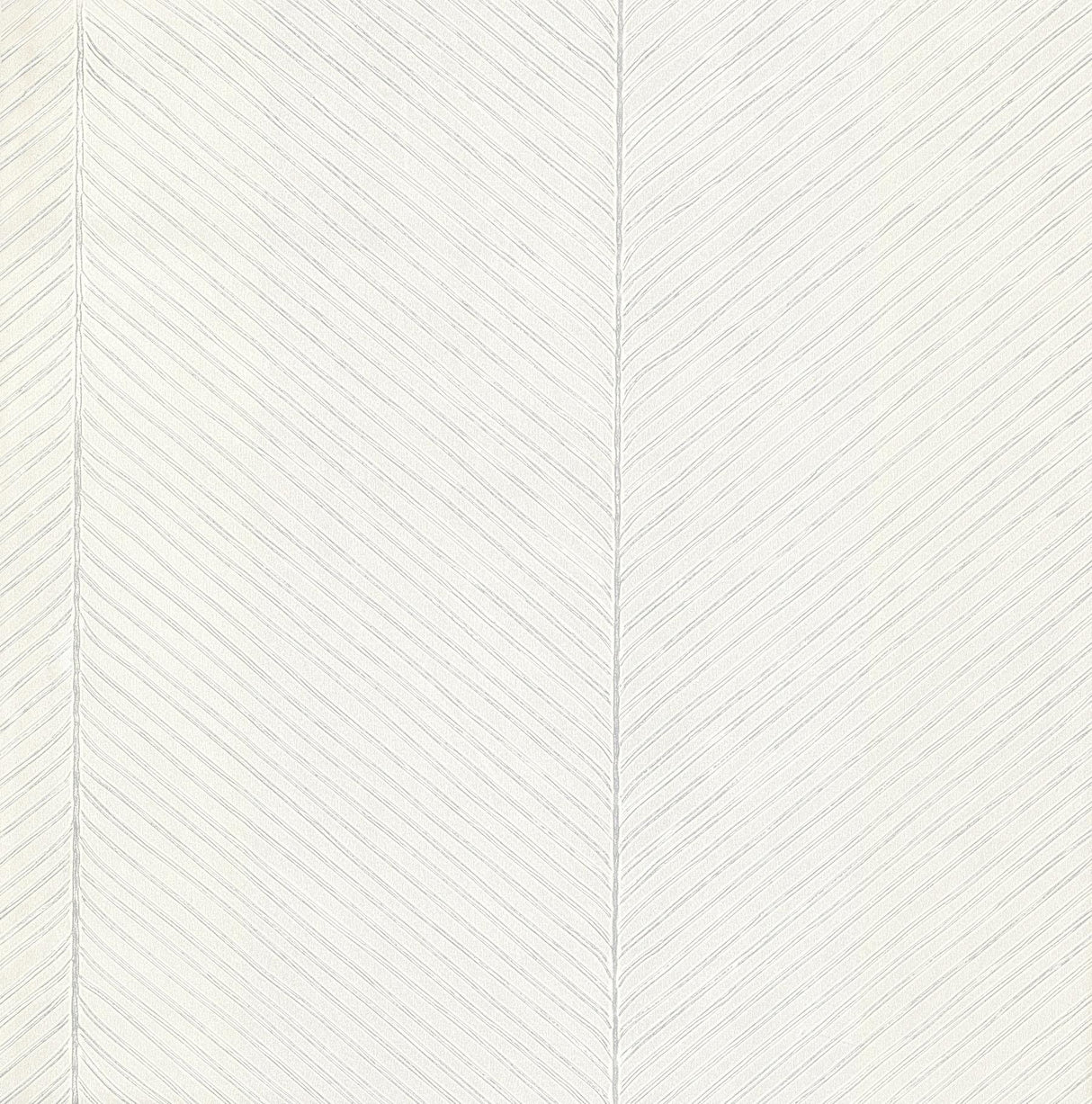 York Palm Chevron White/Silver Wallpaper