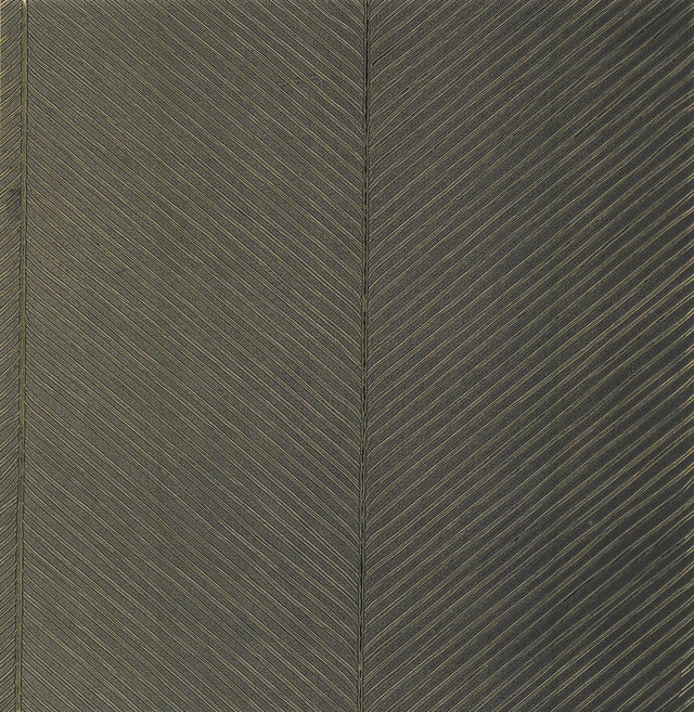 York Palm Chevron Black/Gold Wallpaper
