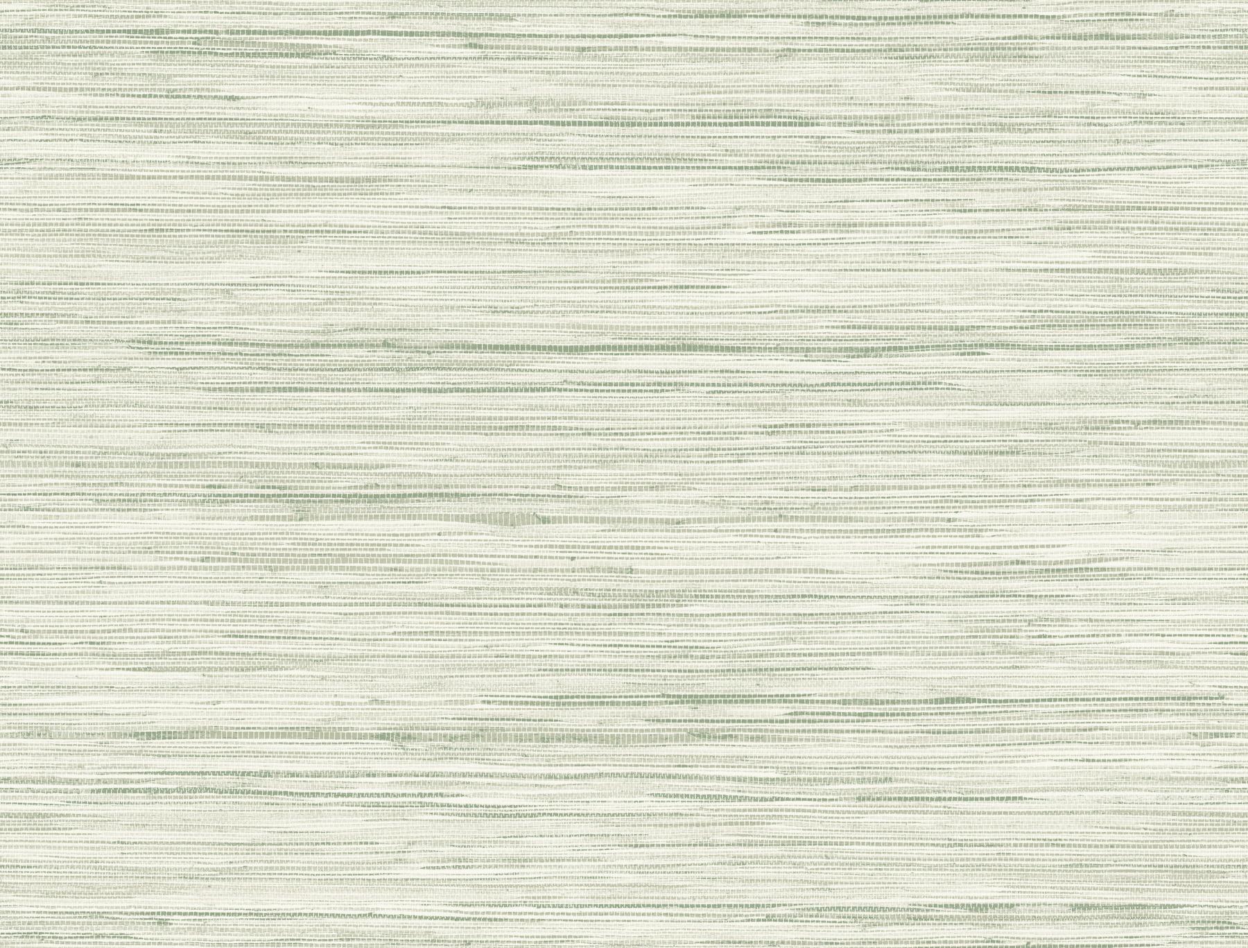 York Green Bahiagrass Wallpaper by York