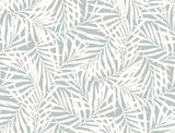 York Oahu Fronds Light Green/White Wallpaper