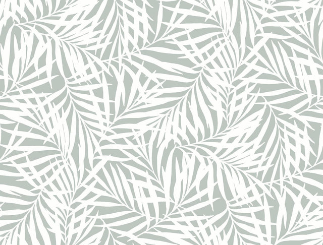 York Oahu Fronds Light Green/White Wallpaper
