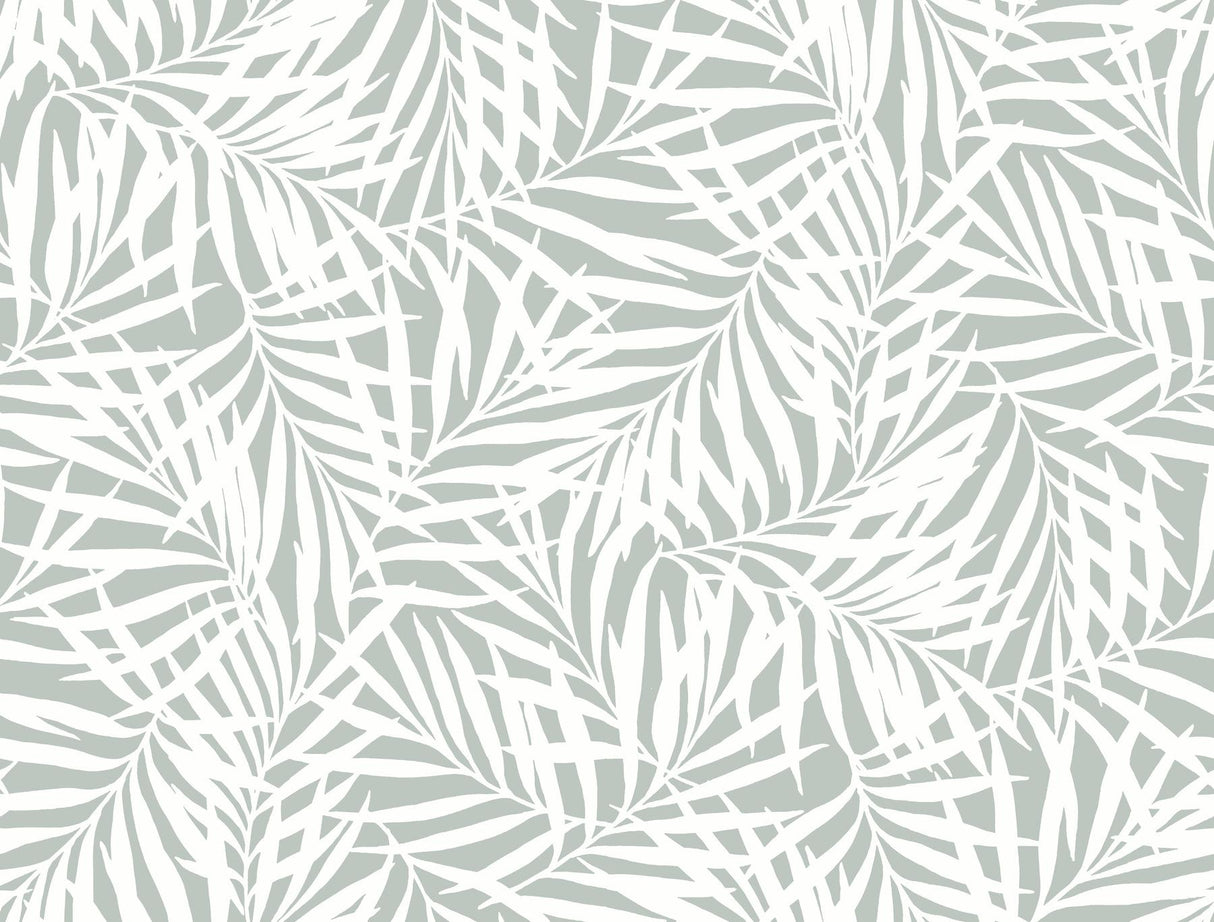 York Oahu Fronds Light Green/White Wallpaper