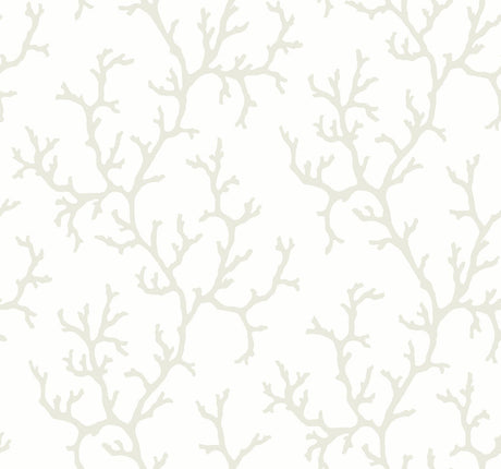 York Coral Island White Wallpaper