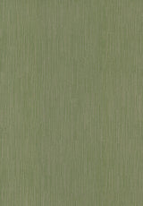 Ronald Redding Designs Weekender Weave Green Wallpaper