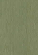 Ronald Redding Designs Weekender Weave Green Wallpaper