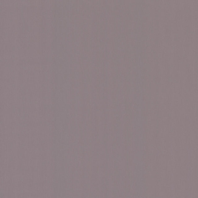 York Radiant Juniper Purple Wallpaper