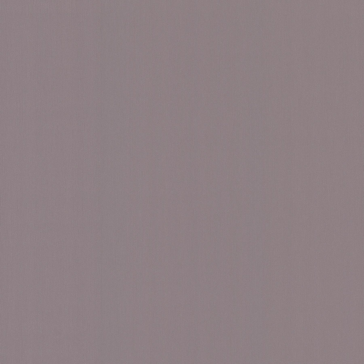 York Radiant Juniper Purple Wallpaper