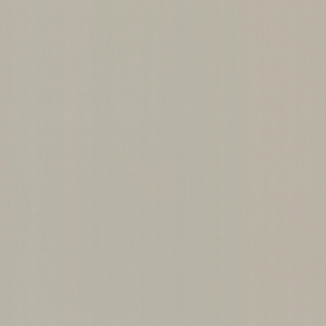 York Radiant Juniper Beige Wallpaper