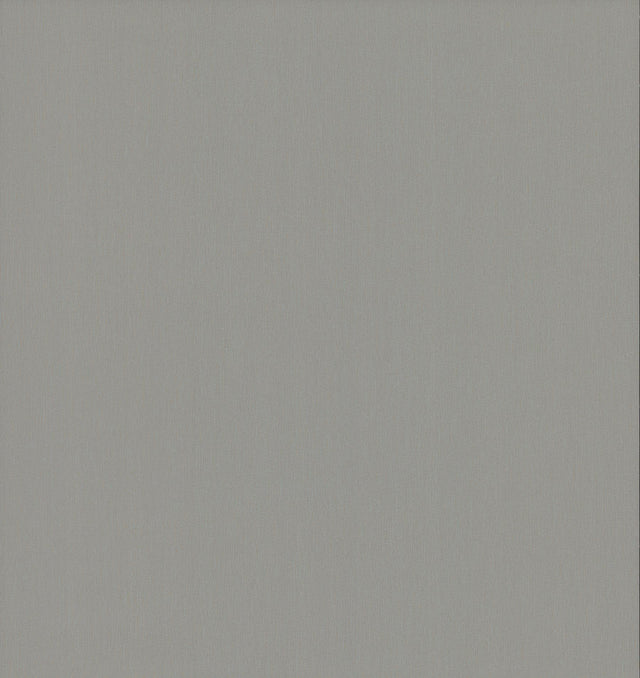 York Radiant Juniper Dark Gray Wallpaper