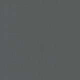 York Radiant Juniper Black Wallpaper