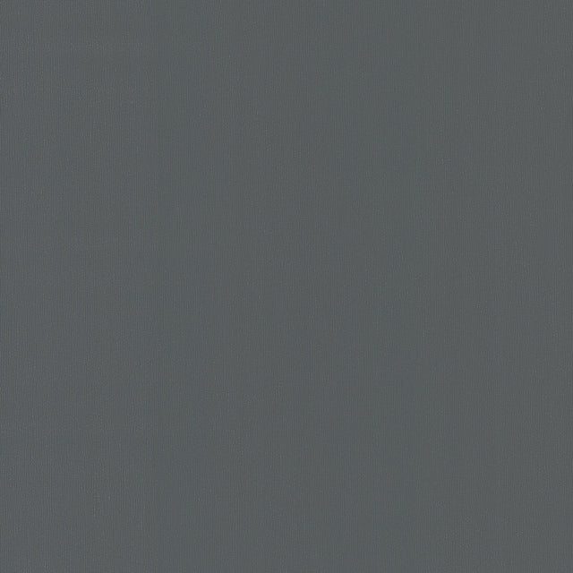 York Radiant Juniper Black Wallpaper