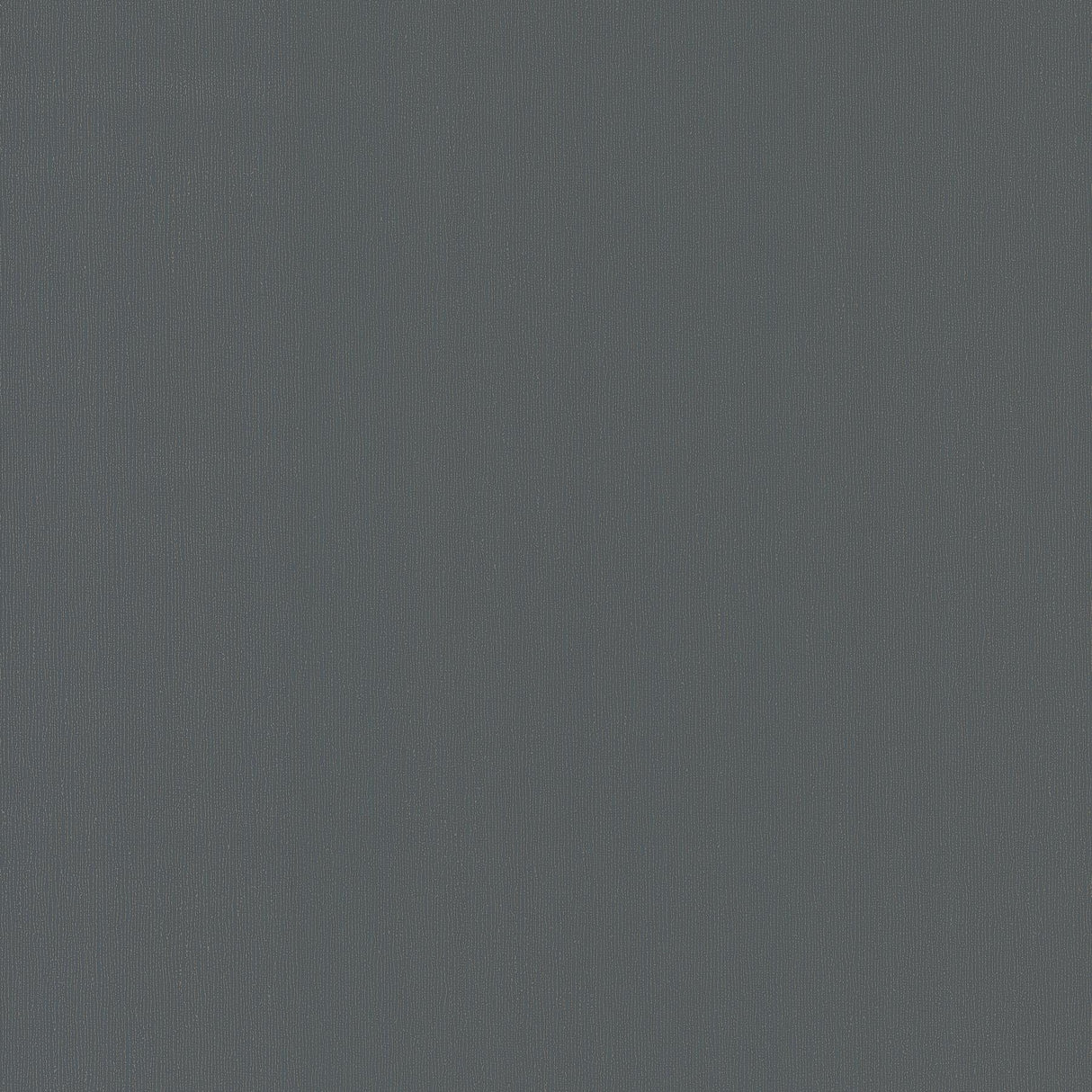 York Radiant Juniper Black Wallpaper