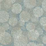 Kravet RINGSEND SPA Fabric