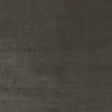 Kravet NEW ELEGANCE TRUFFLE Upholstery Fabric