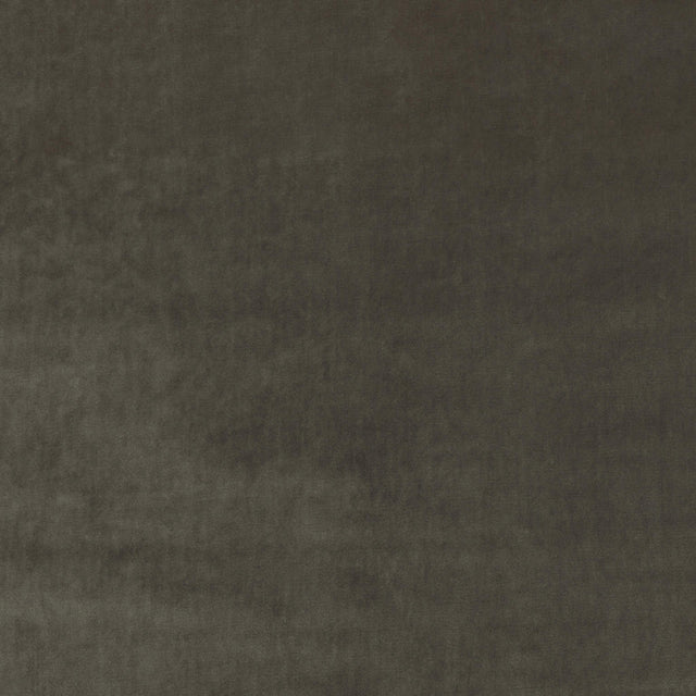 Kravet NEW ELEGANCE TRUFFLE Upholstery Fabric