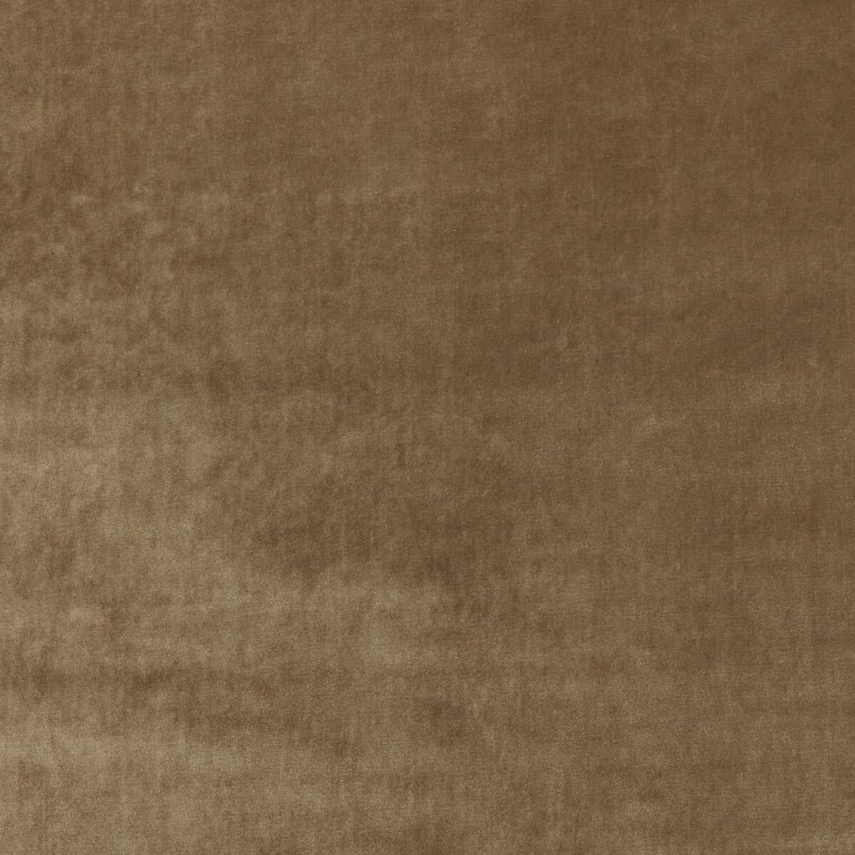Kravet NEW ELEGANCE CAMEL Fabric