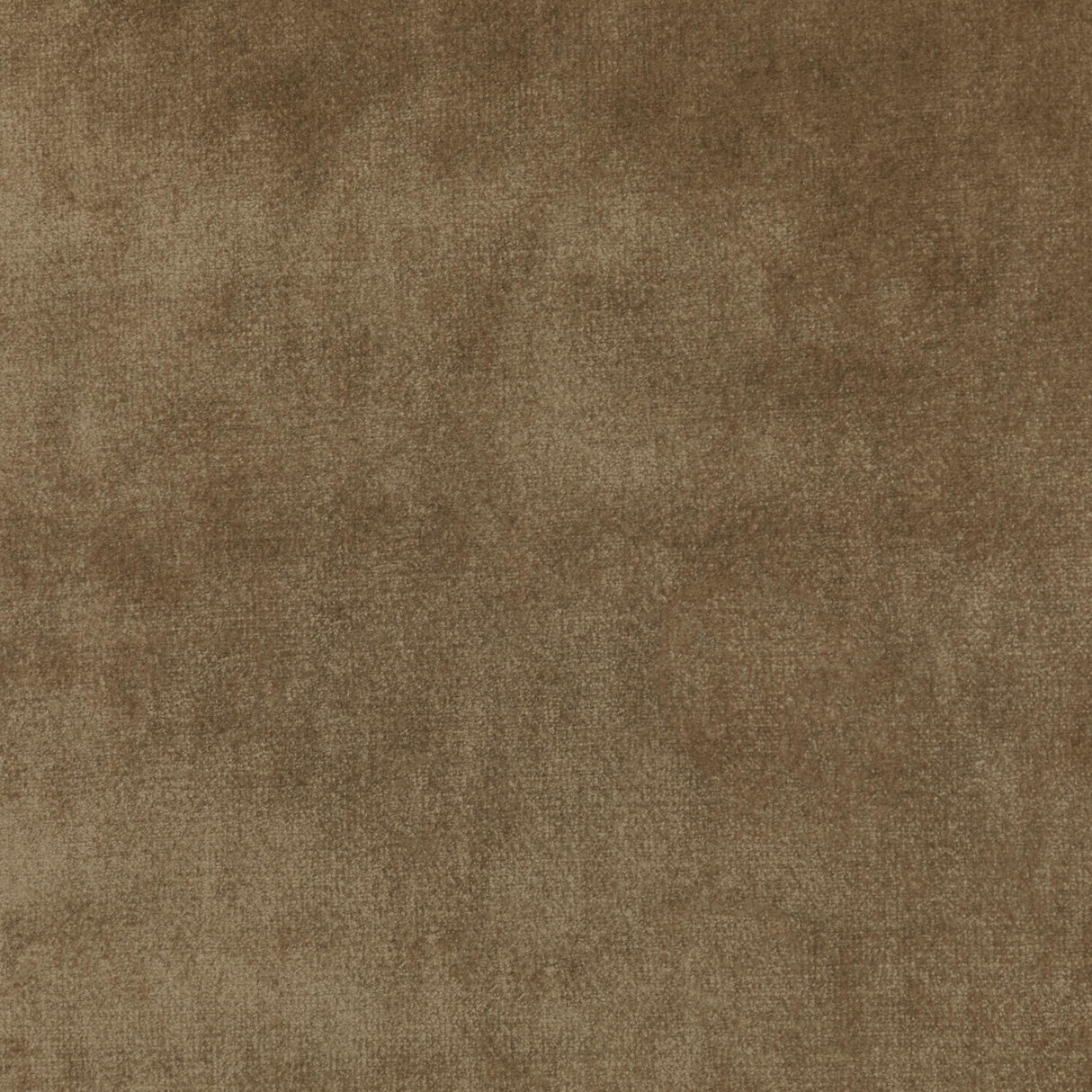 Kravet NEW ELEGANCE CAMEL Upholstery Fabric