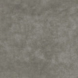 Kravet REGAL VELVET PLATINUM Upholstery Fabric