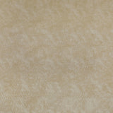 Kravet TRIUMPHANT CREME Upholstery Fabric