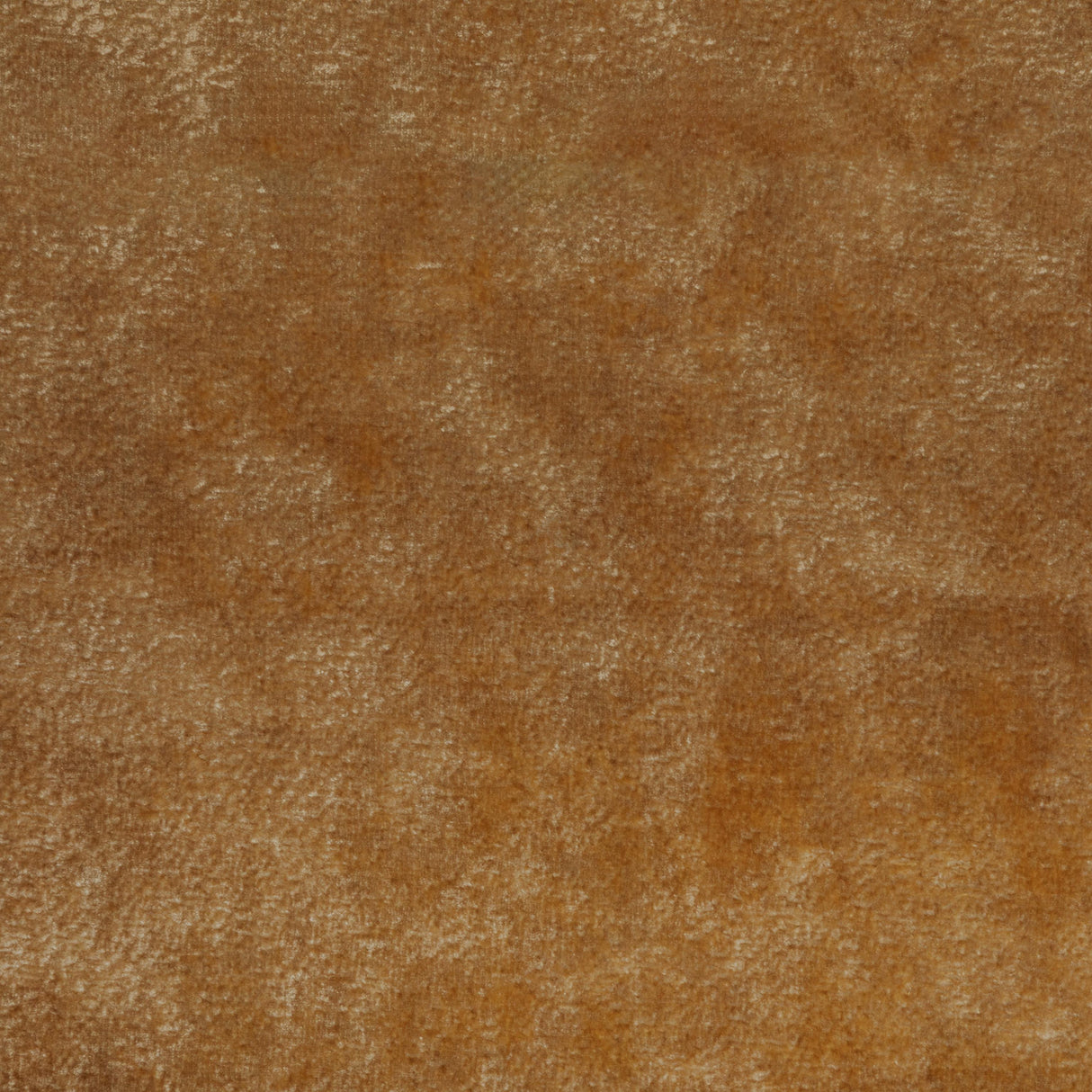 Kravet TRIUMPHANT TUSCAN Upholstery Fabric