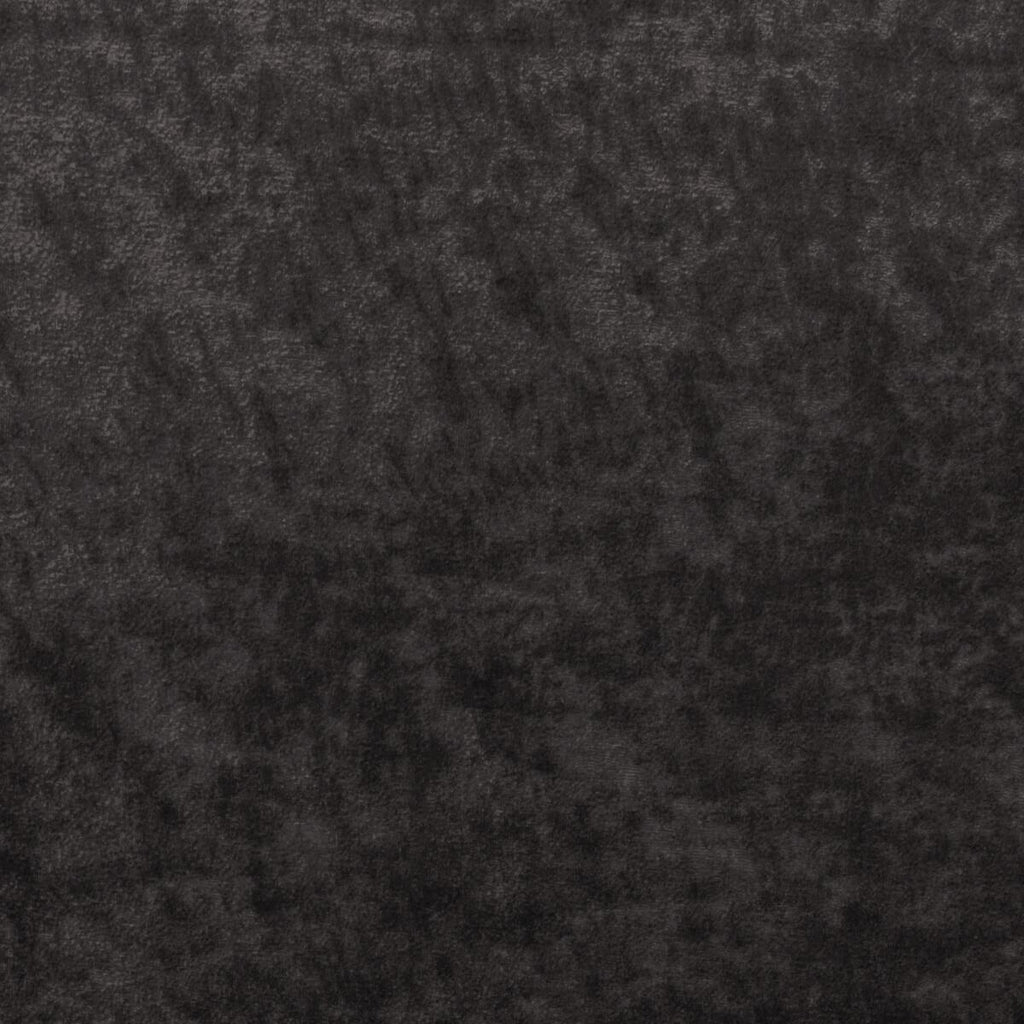 Kravet TRIUMPHANT GRAPHITE Fabric