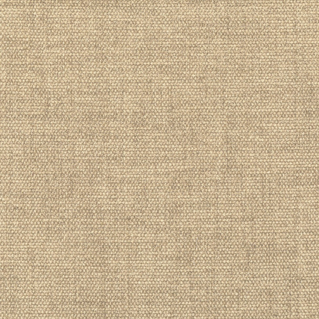 Kravet SMART 36095 1116 Upholstery Fabric