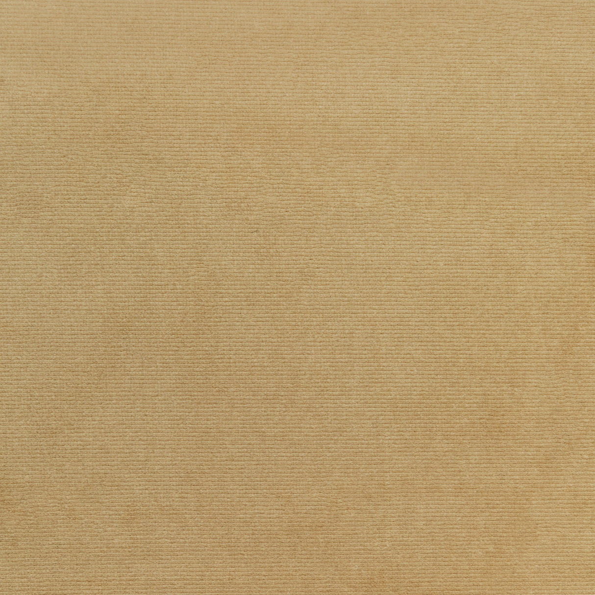 Kravet SMART 36111 106 Upholstery Fabric