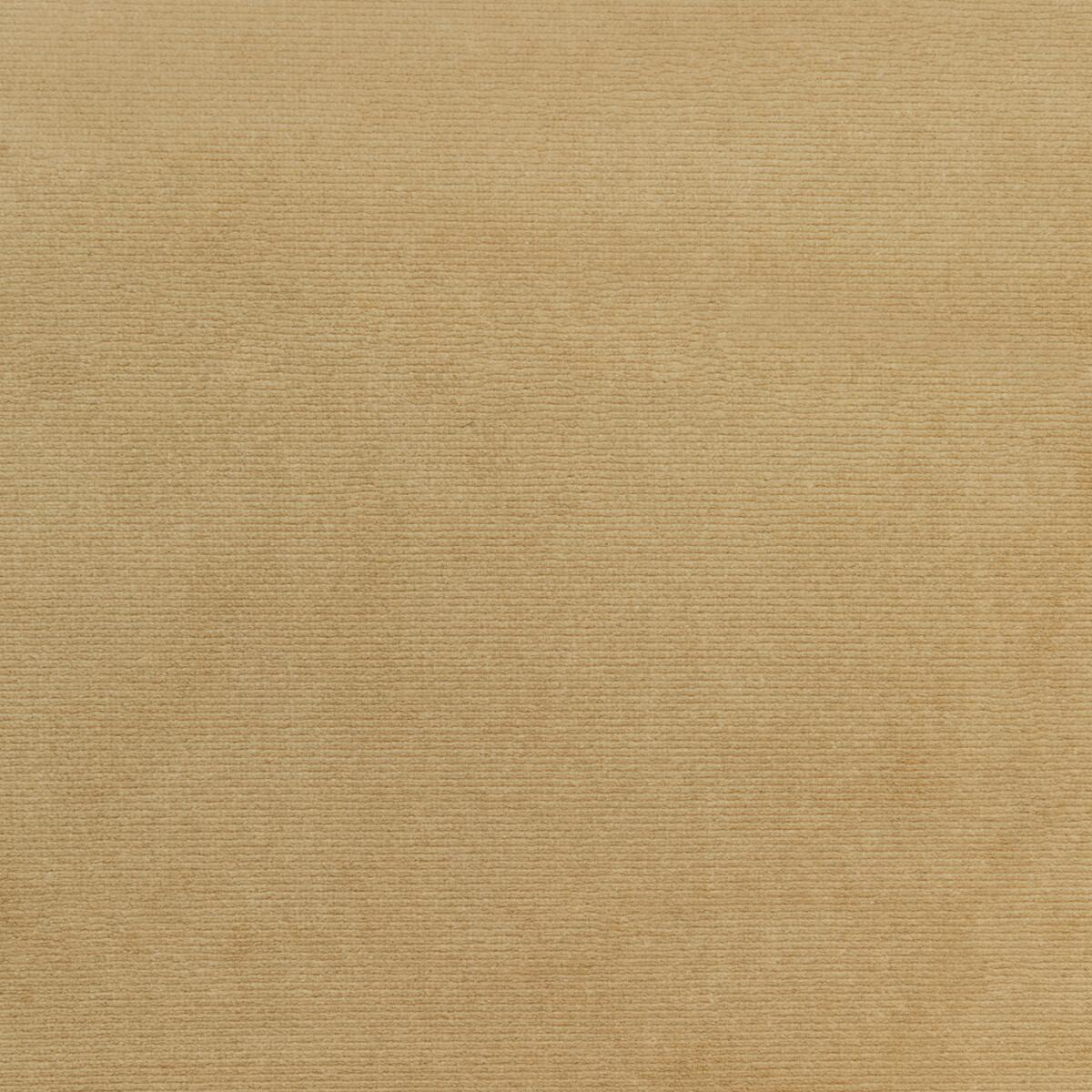 Kravet 36111 106 Fabric