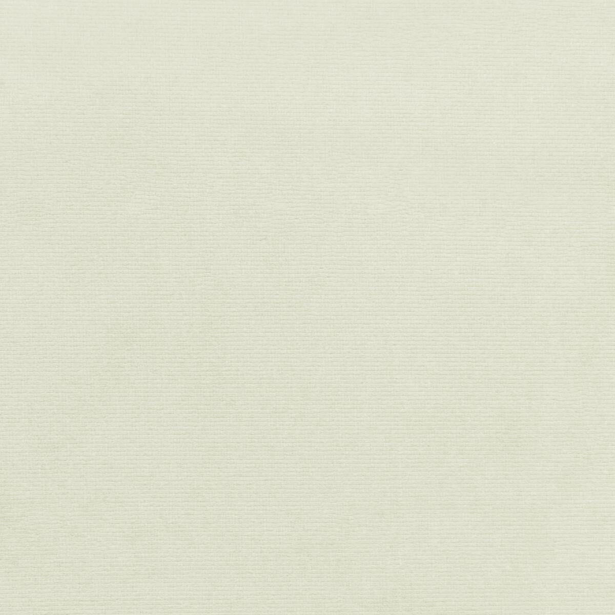 Kravet 36111 111 Fabric