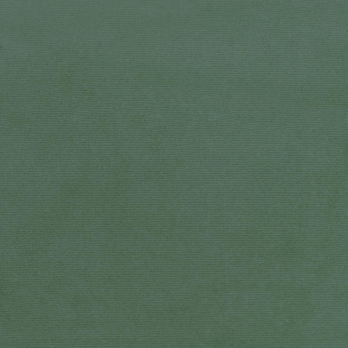 Kravet 36111 113 Fabric