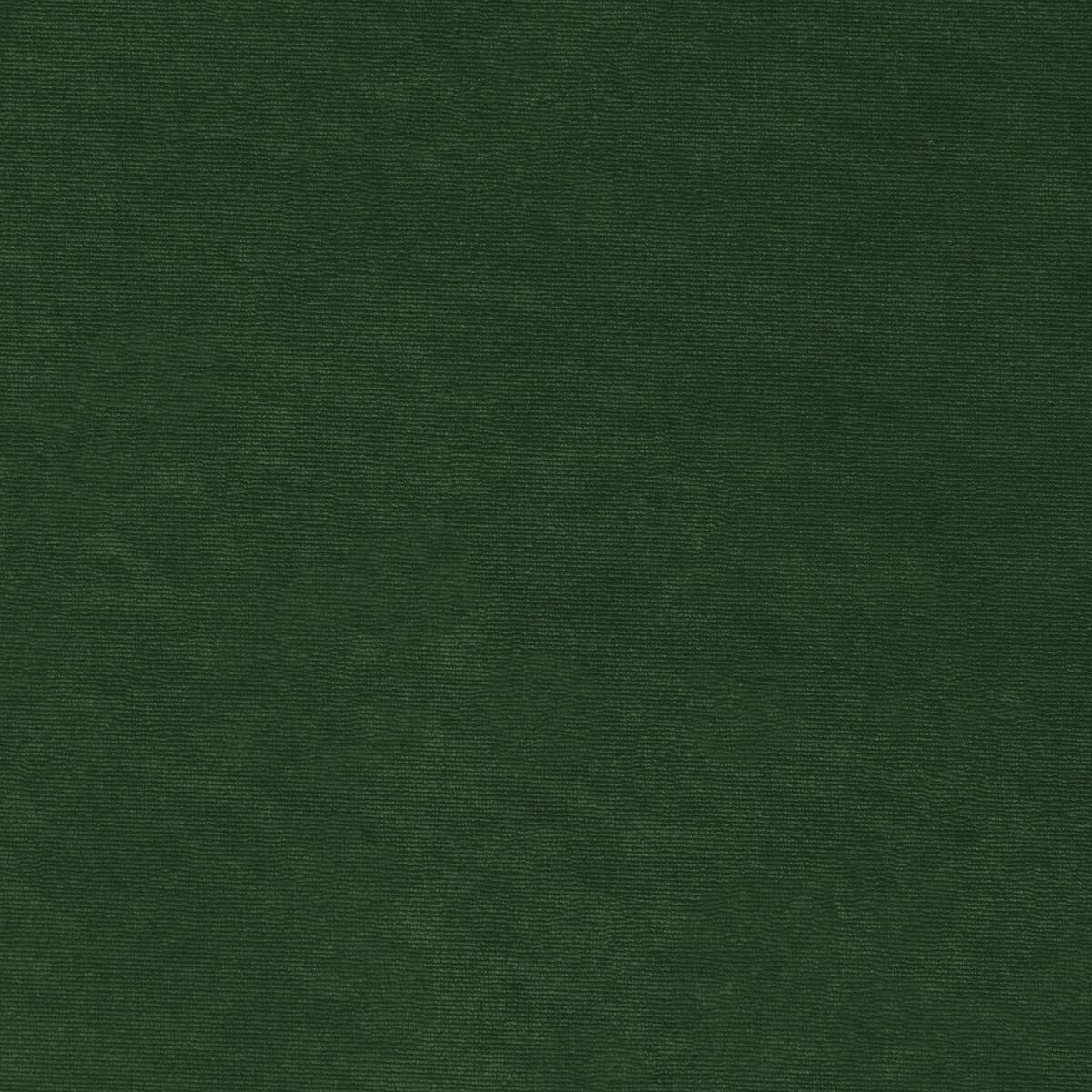 Kravet 36111 303 Fabric
