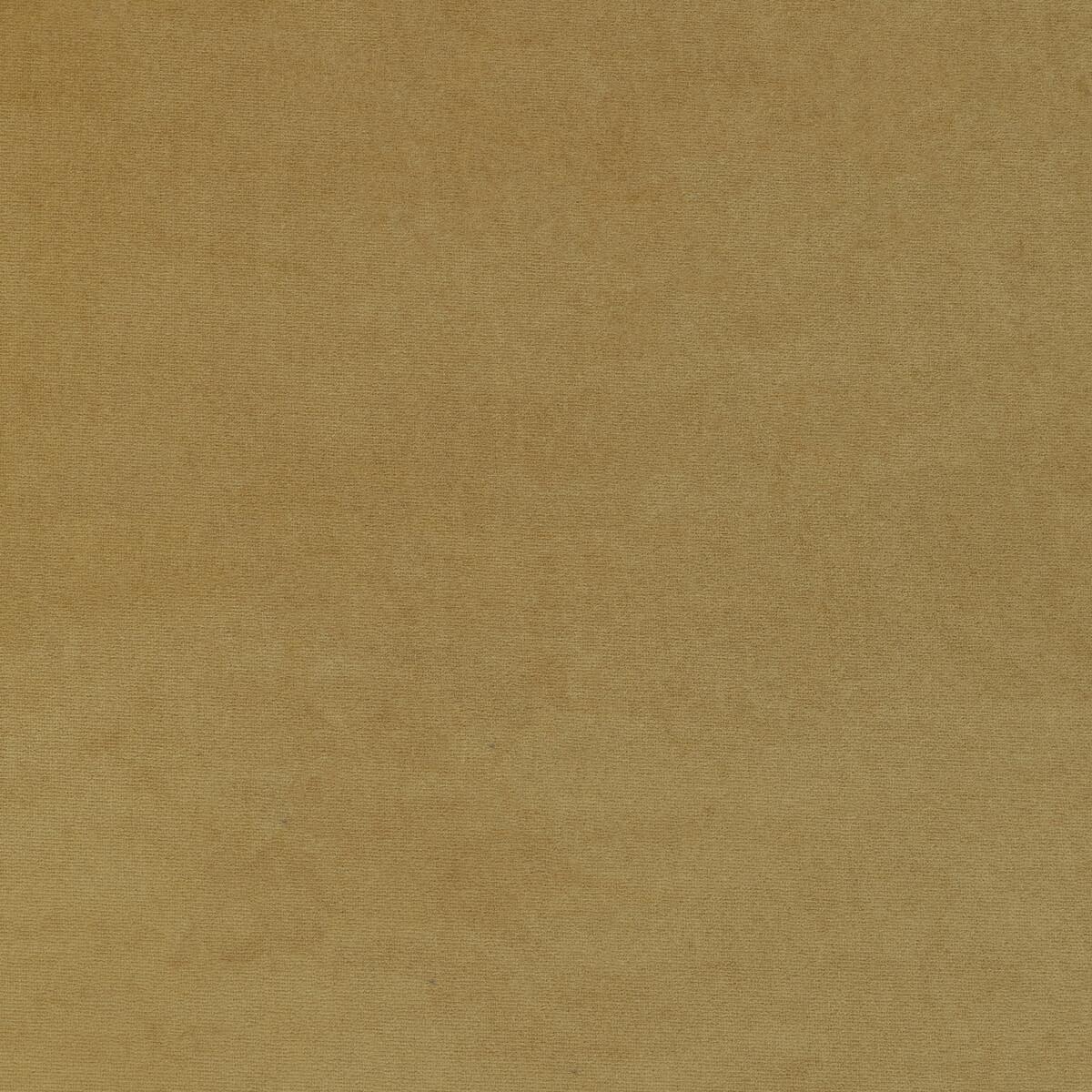 Kravet 36111 416 Fabric