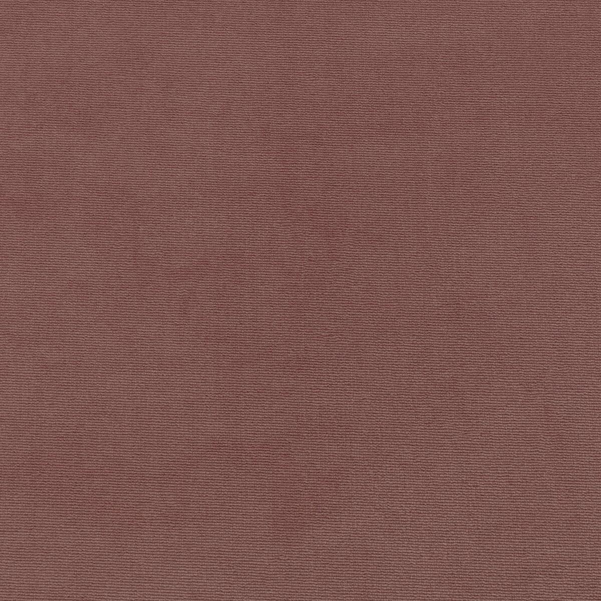 Kravet 36111 77 Fabric