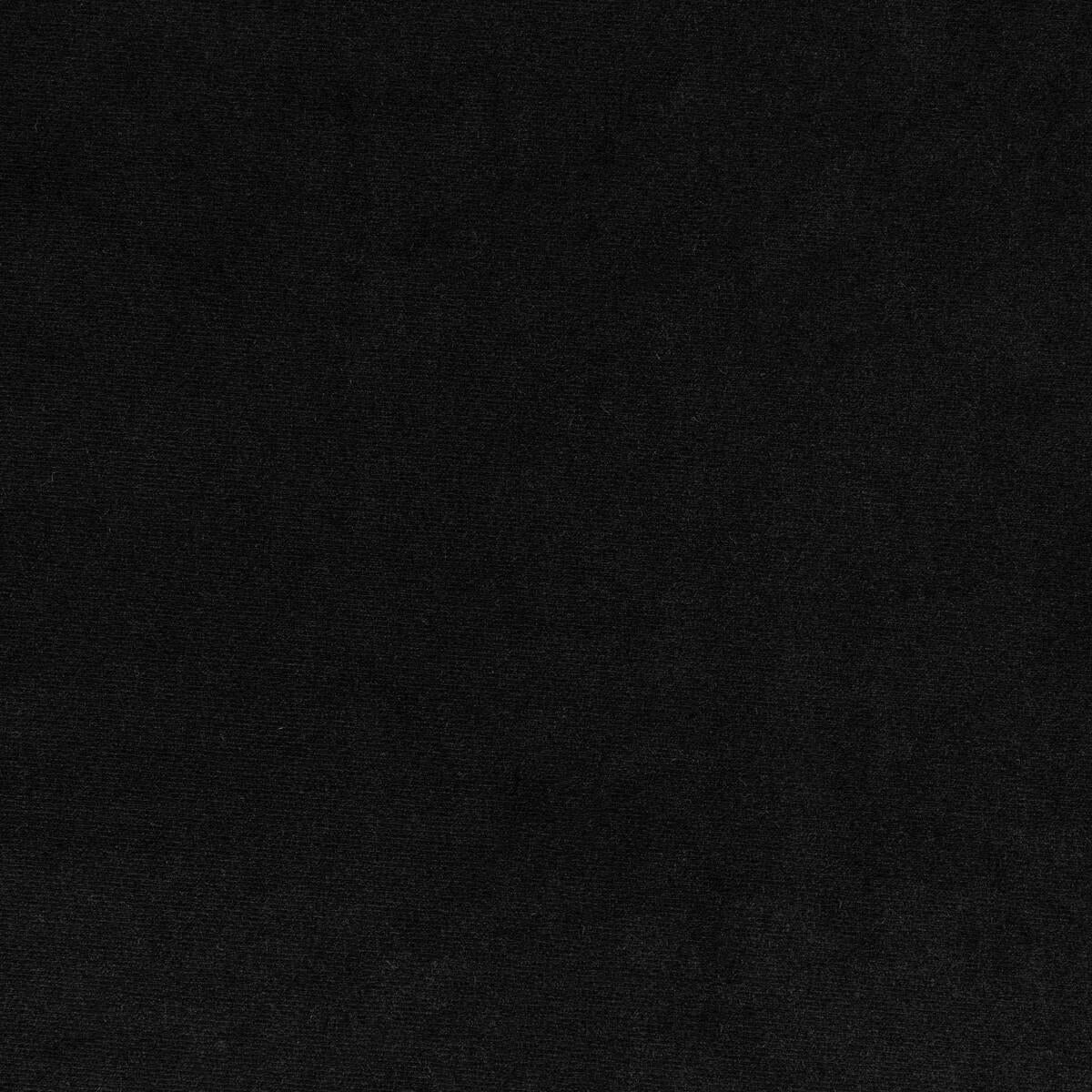 Kravet 36111 8 Fabric