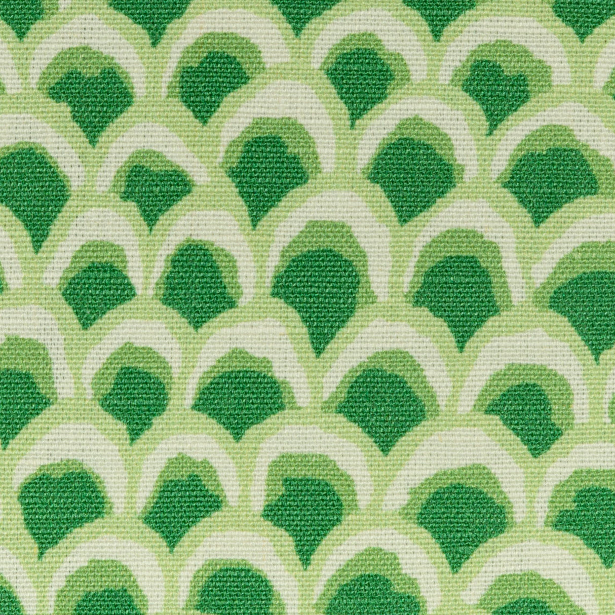 Brunschwig & Fils PAVE II PRINT GREEN Fabric