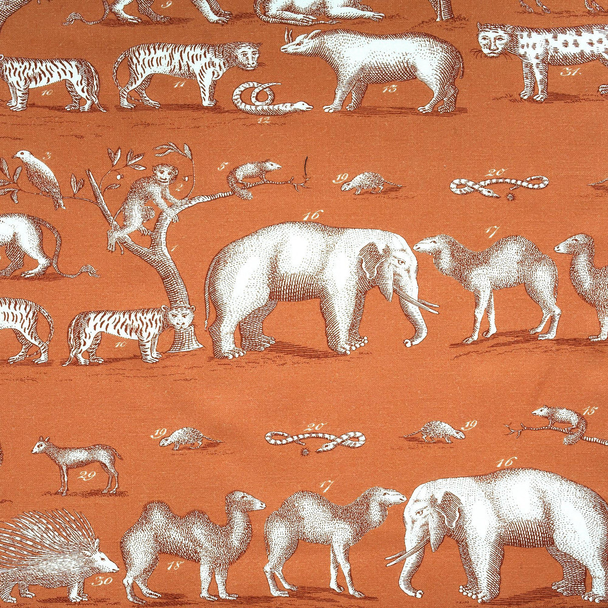 Andrew Martin KINGDOM OUTDOOR LAVA Fabric