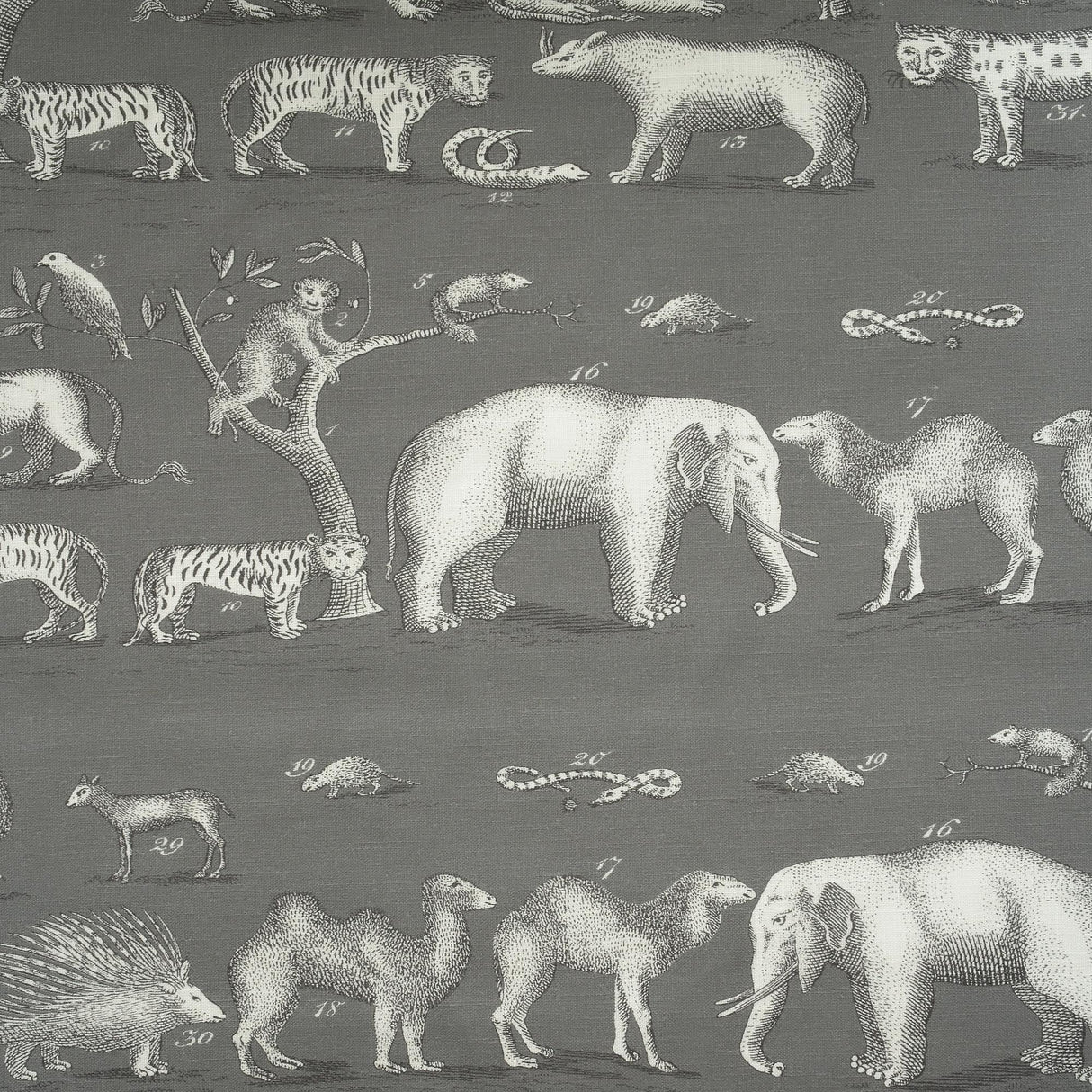 Andrew Martin KINGDOM OUTDOOR ROCK Fabric