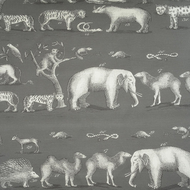 Andrew Martin KINGDOM OUTDOOR ROCK Fabric